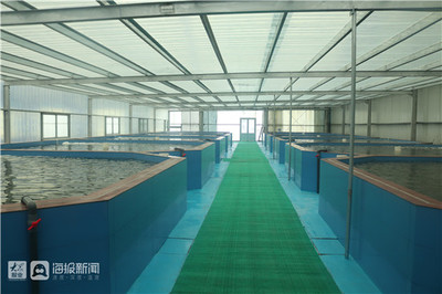 淄博市畜牧渔业服务中心积极开展科技下乡活动